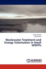 Wastewater Treatment and Energy Valorisation in Small WWTPs