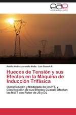 Huecos de Tensión y sus Efectos en la Máquina de Inducción Trifásica