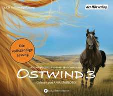 Ostwind 03 - Aufbruch nach Ora (Hörbuch)