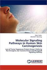 Molecular Signaling Pathways in Human Skin Carcinogenesis