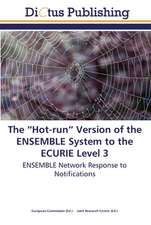 The ¿Hot-run¿ Version of the ENSEMBLE System to the ECURIE Level 3