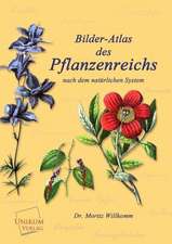 Bilder-Atlas des Pflanzenreichs