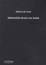 De Fodor, E: Elektrizität direkt aus Kohle