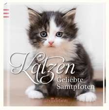 Katzen