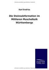 Die Steinsalzformation Im Mittleren Muschelkalk Wurttembergs: Untersuchung Uber Dessen Ursprungliche Bestimmung