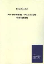 Aus Insulinde - Malayische Reisebriefe