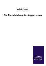 Die Pluralbildung Des Agyptischen