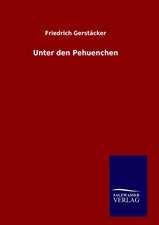 Unter Den Pehuenchen: Drei Vortrage