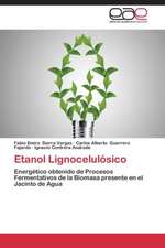 Etanol Lignocelulósico