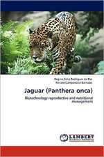 Jaguar (Panthera onca)