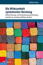 Berg, M: Wirksamkeit systemischer Beratung