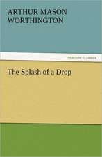 The Splash of a Drop