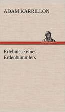 Erlebnisse Eines Erdenbummlers: Philaletis)