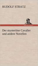 Der Mysteriose Cavalier Und Andere Novellen: Das Lallen- Und Narrenbuch