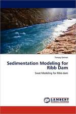 Sedimentation Modeling for Ribb Dam