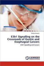 E3b1 Signalling on the Crossroads of Gastric and Esophageal Cancers