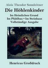 Die Höhlenkinder (Großdruck)