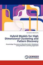 Hybrid Models for High Dimensional Clustering and Pattern Discovery