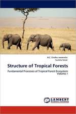 Structure of Tropical Forests