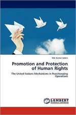 Promotion and Protection of Human Rights