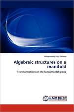 Algebraic structures on a manifold