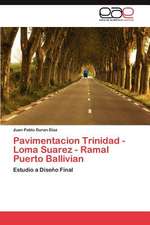 Pavimentacion Trinidad - Loma Suarez - Ramal Puerto Ballivian