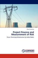 Project Finance and Measurement of Risk