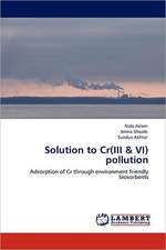 Solution to Cr(III & VI) pollution