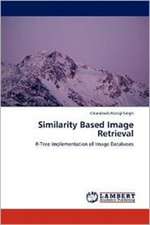 Similarity Based Image Retrieval