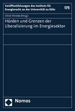 Hürden und Grenzen der Liberalisierung im Energiesektor