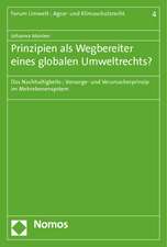 Prinzipien als Wegbereiter eines globalen Umweltrechts?