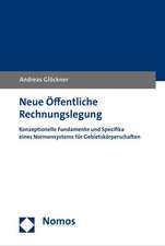 Neue Offentliche Rechnungslegung: Konzeptionelle Fundamente Und Spezifika Eines Normensystems Fur Gebietskorperschaften