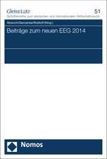 Beitrage Zum Neuen Eeg 2014: Theorien Des Judischen Staates