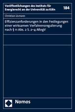 Effizienzanforderungen in Den Festlegungen Einer Wirksamen Verfahrensregulierung Nach 11 ABS. 2 S. 2-4 Aregv: Proceedings of a German-Korean Academic Dialogue