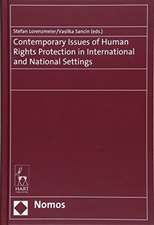 Contemporary Issues of Human Rights Protection in International and National Settings