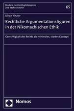 Rechtliche Argumentationsfiguren in Der Nikomachischen Ethik: Gerechtigkeit Des Rechts ALS Minimales, Starkes Konzept