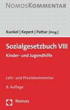 Sozialgesetzbuch VIII