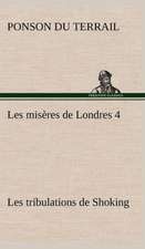 Les MIS Res de Londres 4. Les Tribulations de Shoking: Les Th Ories Et Les Exemples3