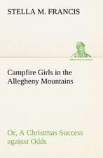 Campfire Girls in the Allegheny Mountains Or, a Christmas Success Against Odds: Positive and Negative