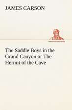 The Saddle Boys in the Grand Canyon or the Hermit of the Cave: With a Translation, Critical and Exegetical Notes, Prolegomena and Copious Indexes (Shih Ching. English) - Volume 1