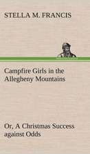 Campfire Girls in the Allegheny Mountains Or, a Christmas Success Against Odds: Positive and Negative