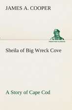 Sheila of Big Wreck Cove a Story of Cape Cod: The End of the Great War