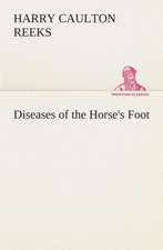 Diseases of the Horse's Foot