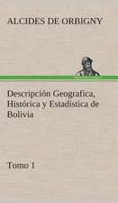 Descripcion Geografica, Historica y Estadistica de Bolivia, Tomo 1.: I El Loco de Bedlam