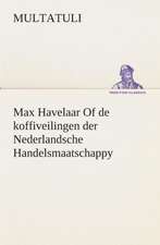 Max Havelaar of de Koffiveilingen Der Nederlandsche Handelsmaatschappy: Overrompeling Eener Plantage