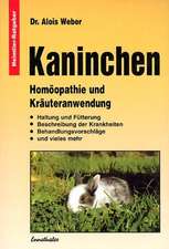 Kaninchen