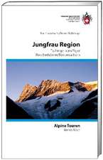 Alpine Touren Jungfrau-Region