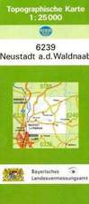 Neustadt an der Waldnaab 1 : 25 000