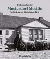 Musterdorf Mestlin