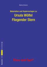 Fliegender Stern. Begleitmaterial